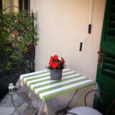 セスト・フィオレンティーノ Terrazza Ginori Bed & Breakfast 部屋 写真